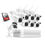 8CH Wireless Überwachungskamera System Set mit 1TB Festplatte Wifi HDMI NVR mit 8 X 1080P 2.0MP WLAN Outdoor Aussen IP Überwachungskamera, 30M IR Nachtsicht Funk Überwachungsset