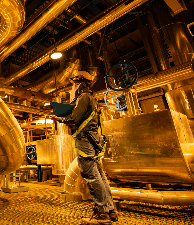 WiFi Endoskopkamera für Smartphone Android und iPhone