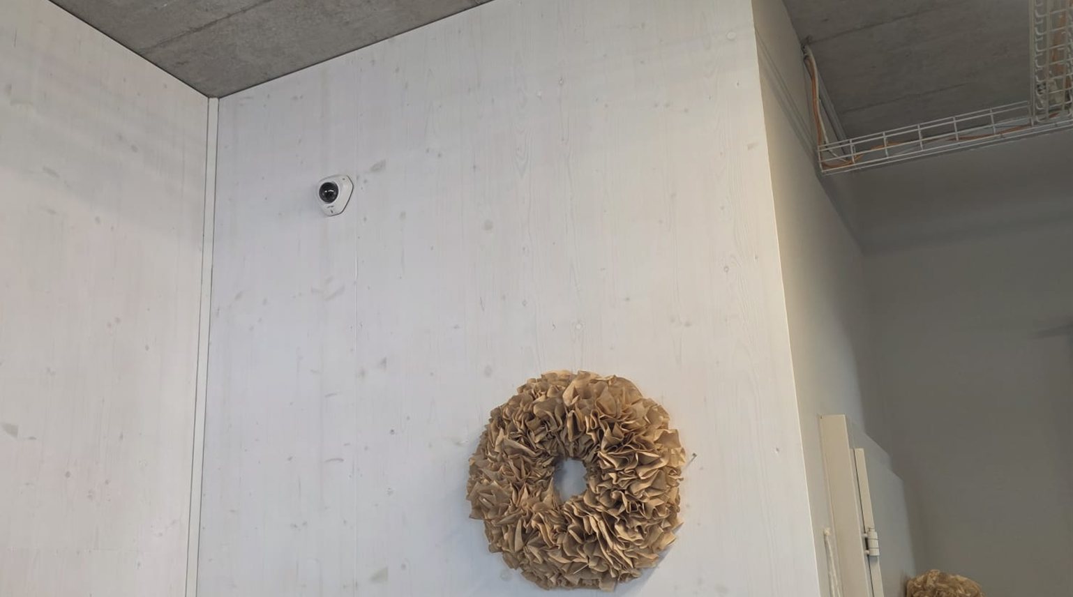 Kleine weisse Ueberwachungskamera dezent in der oberen Wandecke eines Blumenladens an heller Holzwand