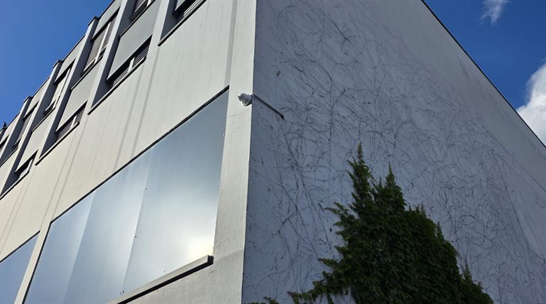 Weisse Turret-Kamera an der Ecke eines mehrstöckigen modernen Gebäudes mit Efeuranken und einem Nadelbaum