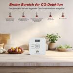Weisser Kohlenmonoxid-Melder Ruan TCS0202A mit LCD-Display und ppm-Anzeige an einer Wand