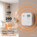 Smartwares CO-Melder FGA-13091 in Weiss mit Anzeige und Testtaste an der Wand