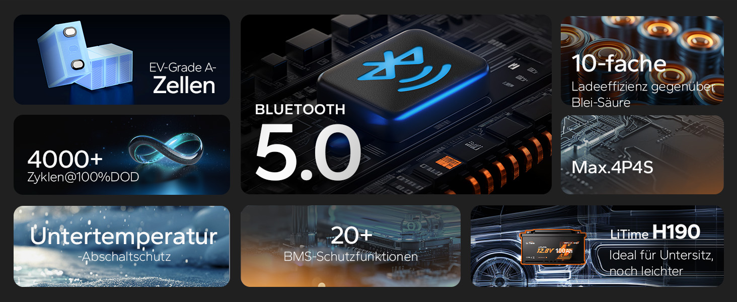 LiTime 12V 100Ah LiFePO4-Akku H190 mit Bluetooth – Detail 1