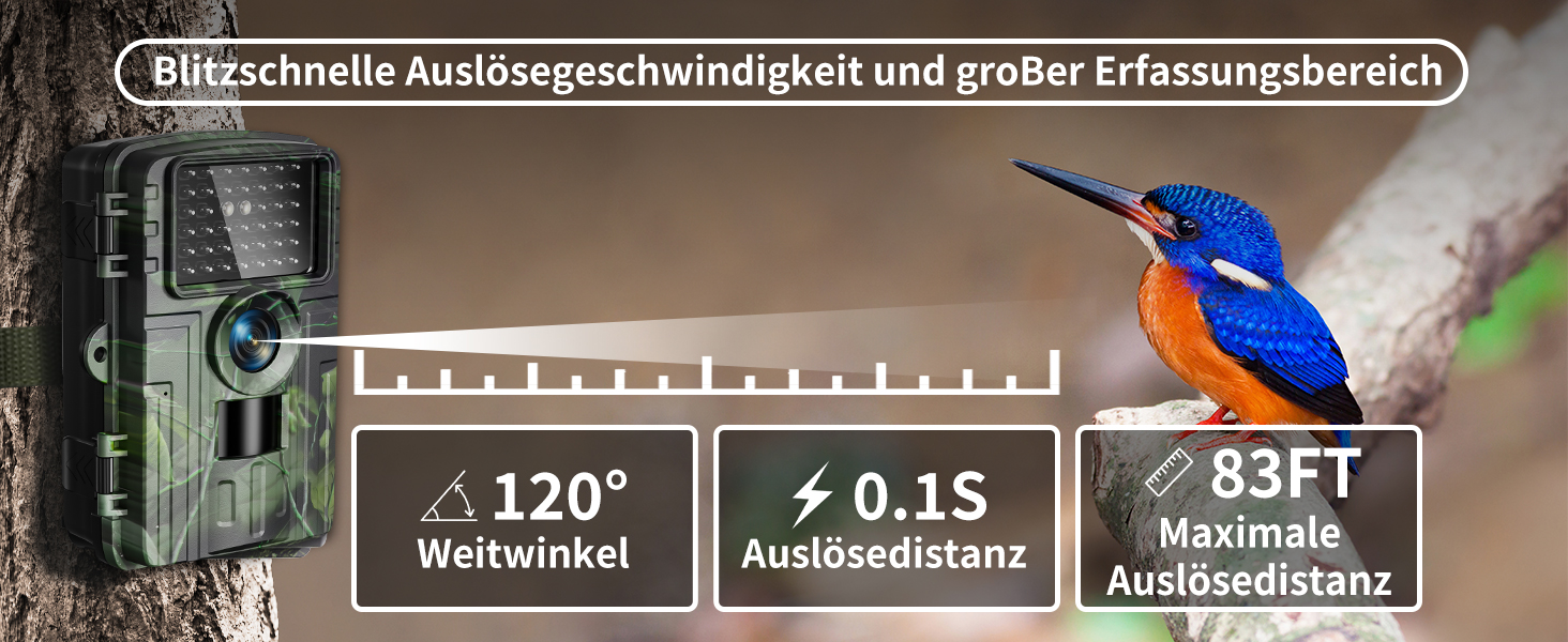 Lutranstra PR5000-WF Wildkamera mit Baumgurt und Infrarot-LEDs – Detail 3