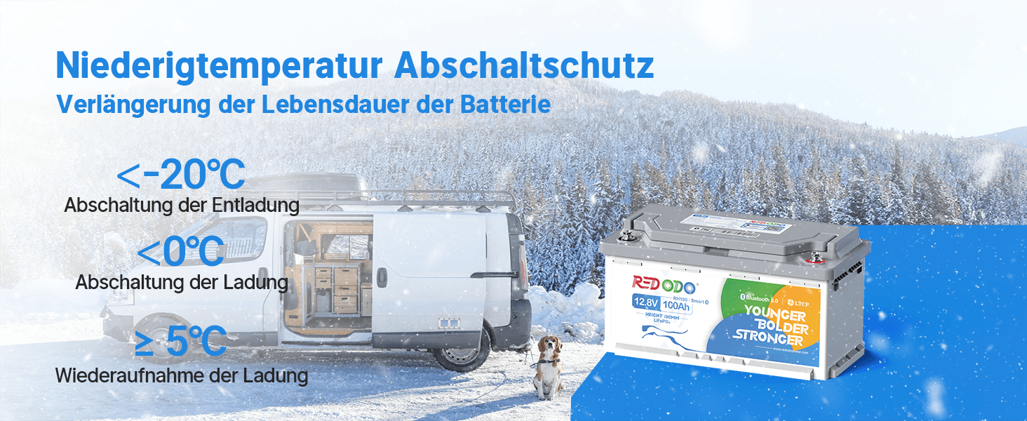 Redodo 12V 100Ah LiFePO4-Untersitz-Akku mit Bluetooth – Detail 5