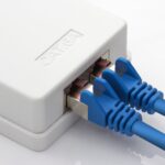 Netzwerkdose mit zwei eingesteckten blauen Patchkabeln