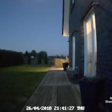 nachtsicht