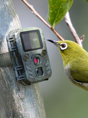 Technaxx Wildkamera Tiere ÜberwachungSecurity Haus Garten Einbruch Diebstahl JayTech Kamera Video