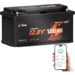 LiTime 12V 100Ah LiFePO4-Akku H190 mit Bluetooth
