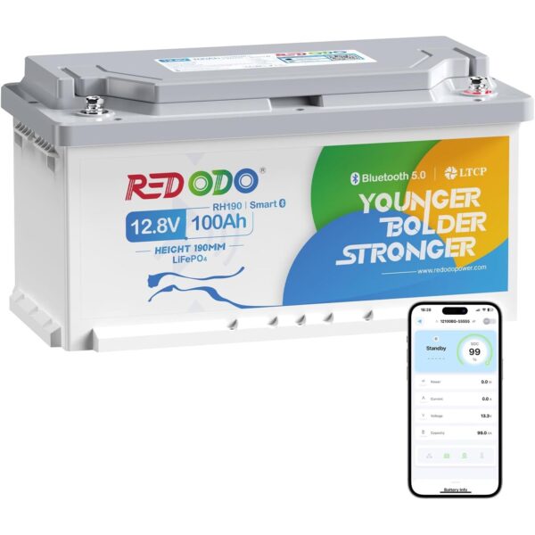 Redodo 12V 100Ah LiFePO4-Untersitz-Akku mit Bluetooth