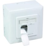 Geschirmte BIGtec Netzwerkdose CAT 6a in Signalweiss mit zwei RJ45-Buchsen, Schutzklappen und LSA-Anschluss.