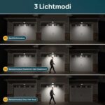 Linkind StarRay Solarstrahler mit Bewegungsmelder auf Erdspiess, 2er-Pack