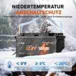 LiTime 12V 100Ah LiFePO4-Akku H190 mit Bluetooth