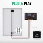 ECO-WORTHY 170-W-Solarpanel mit 30-A-Laderegler