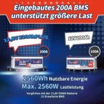 Timeusb 12V 200Ah LiFePO4-Akku