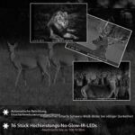 Agitato A323 Wildkamera mit Sony-Starvis-Sensor und Bewegungsauslösung im Tarnmuster