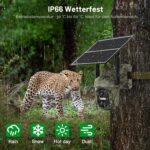 Lemnoi Solar-Wildkamera in Tarnfarbe mit eingebautem Solarpanel