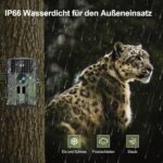 Lutranstra PR5000-WF Wildkamera mit Baumgurt und Infrarot-LEDs