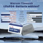Timeusb 12V 100Ah LiFePO4-Akku Gruppe 31
