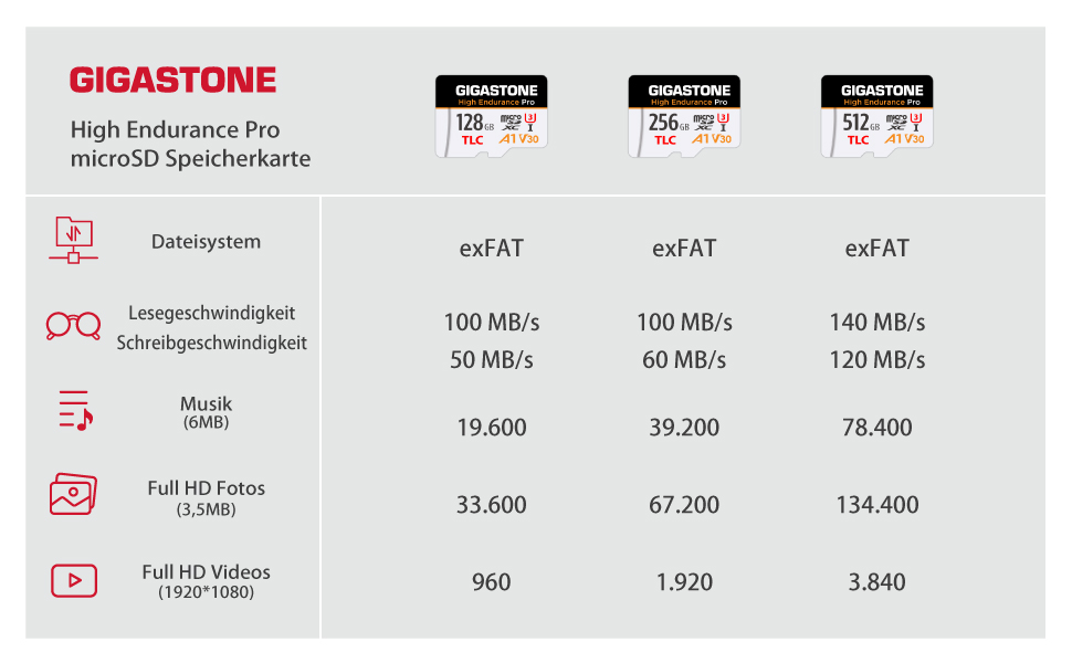 Gigastone High Endurance Pro microSDXC 256 GB mit SD-Adapter – Detail 5