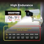 Gigastone High Endurance Pro microSDXC 256 GB