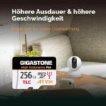 Gigastone High Endurance Pro microSDXC 256 GB