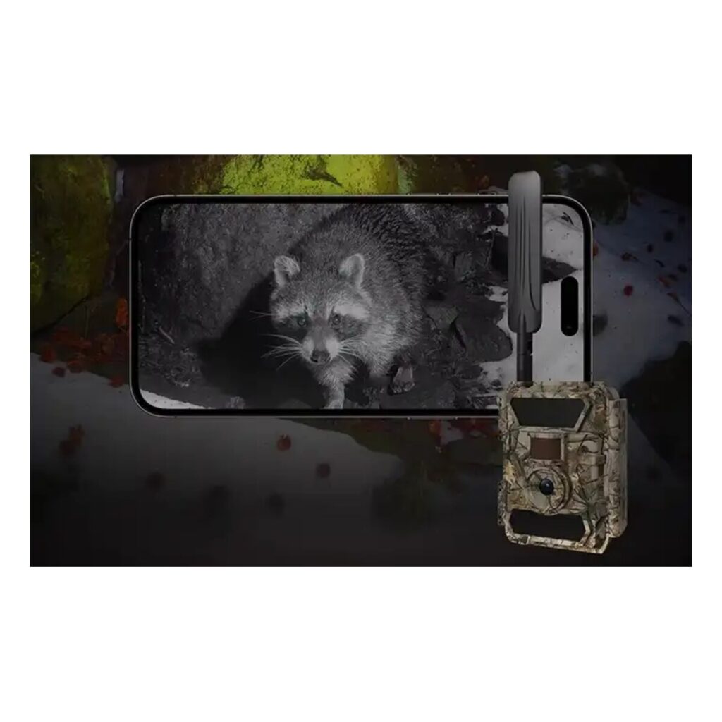 Wildkamera 4G mit SIM-Karte, Nachtaufnahme mit unsichtbarem Blitz