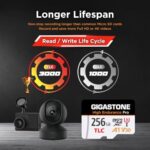 Gigastone High Endurance Pro microSDXC 256 GB
