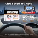 Gigastone High Endurance Pro microSDXC 256 GB