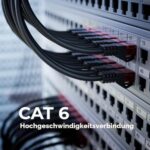 deleyCON CAT6 Outdoor Patchkabel 10 m