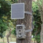 GardePro SP350 Solarpanel mit Akku