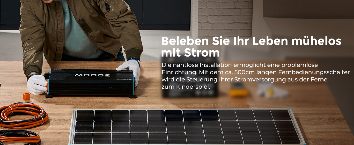 Renogy 3000 W Wechselrichter 12 V auf 230 V reiner Sinus mit Netzvorrangschaltung – Detail 2