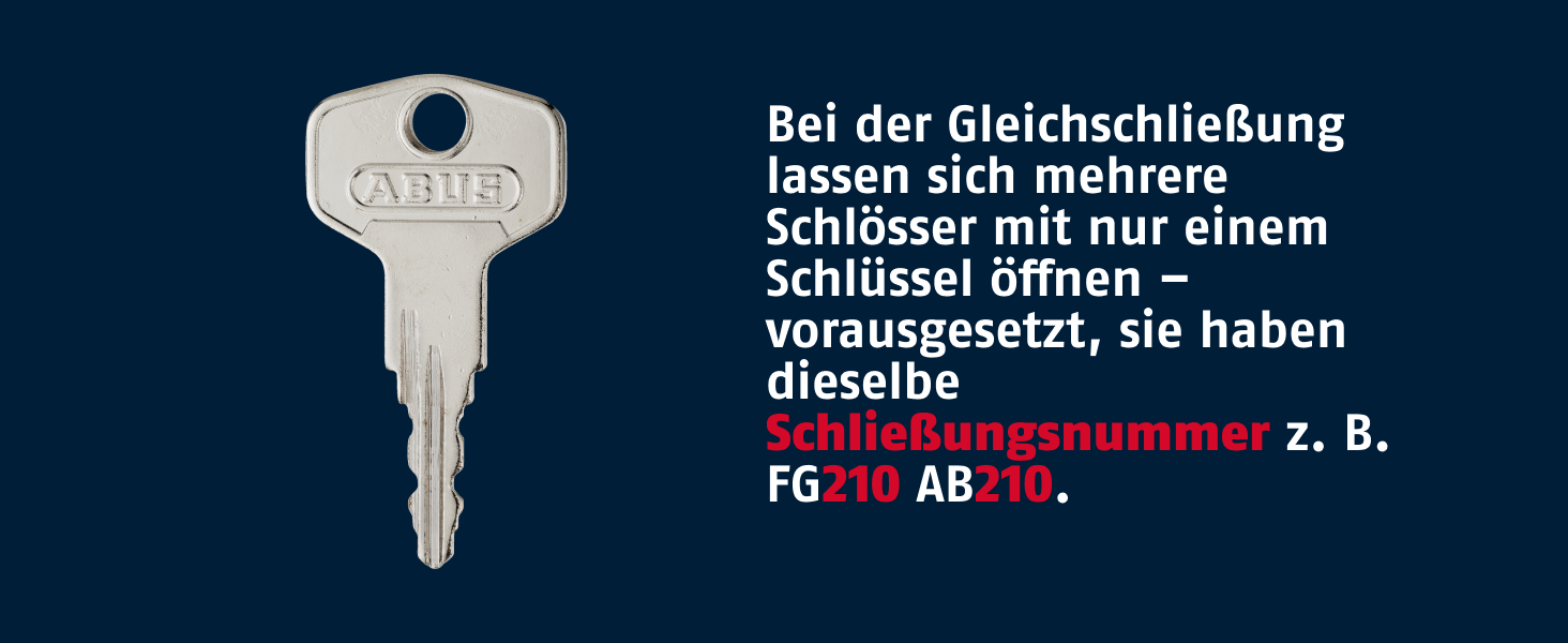Silberner abschliessbarer ABUS-Fenstergriff FG210 in flacher, schlanker Bauform mit Druckzylinder und Wendeschlüssel – Detail 5