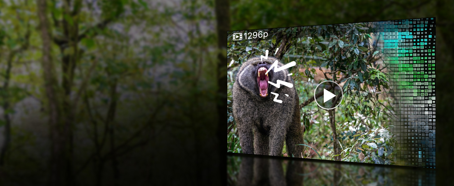 Wildkamera GardePro E8 im Tarnmuster mit Antenne, daneben ein Smartphone mit dem Livebild der Kamera – Detail 6
