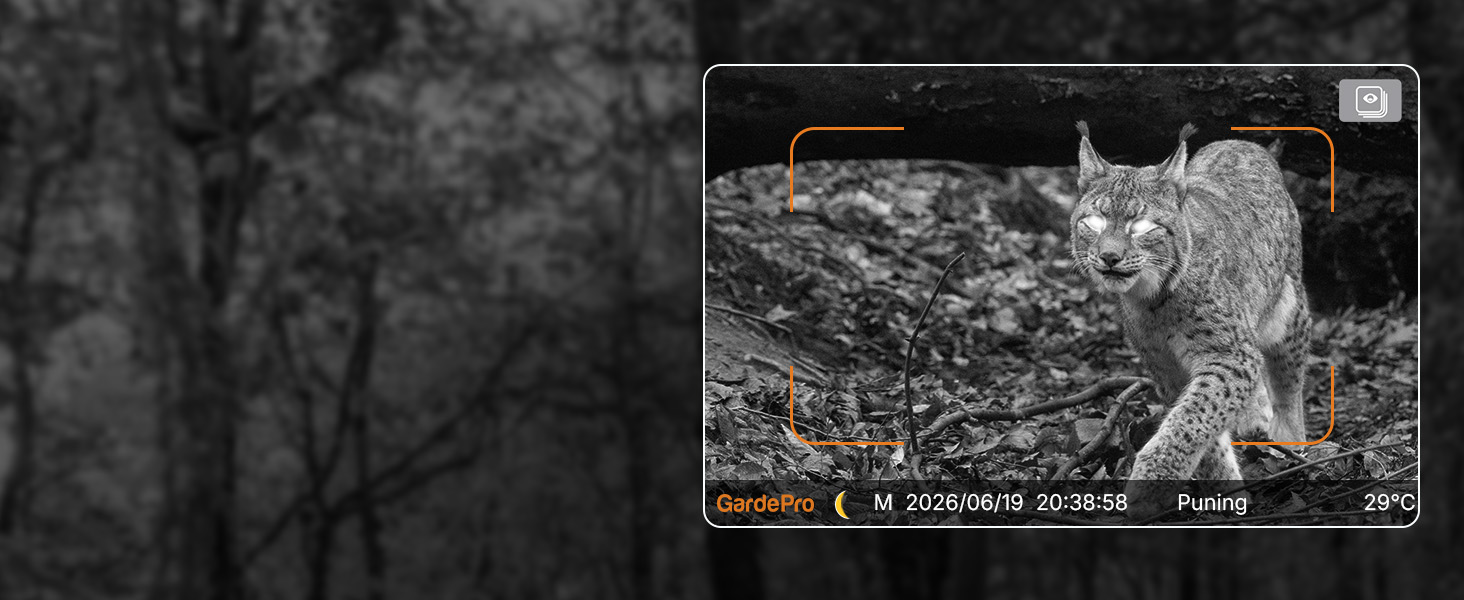 Wildkamera GardePro E8 im Tarnmuster mit Antenne, daneben ein Smartphone mit dem Livebild der Kamera – Detail 7