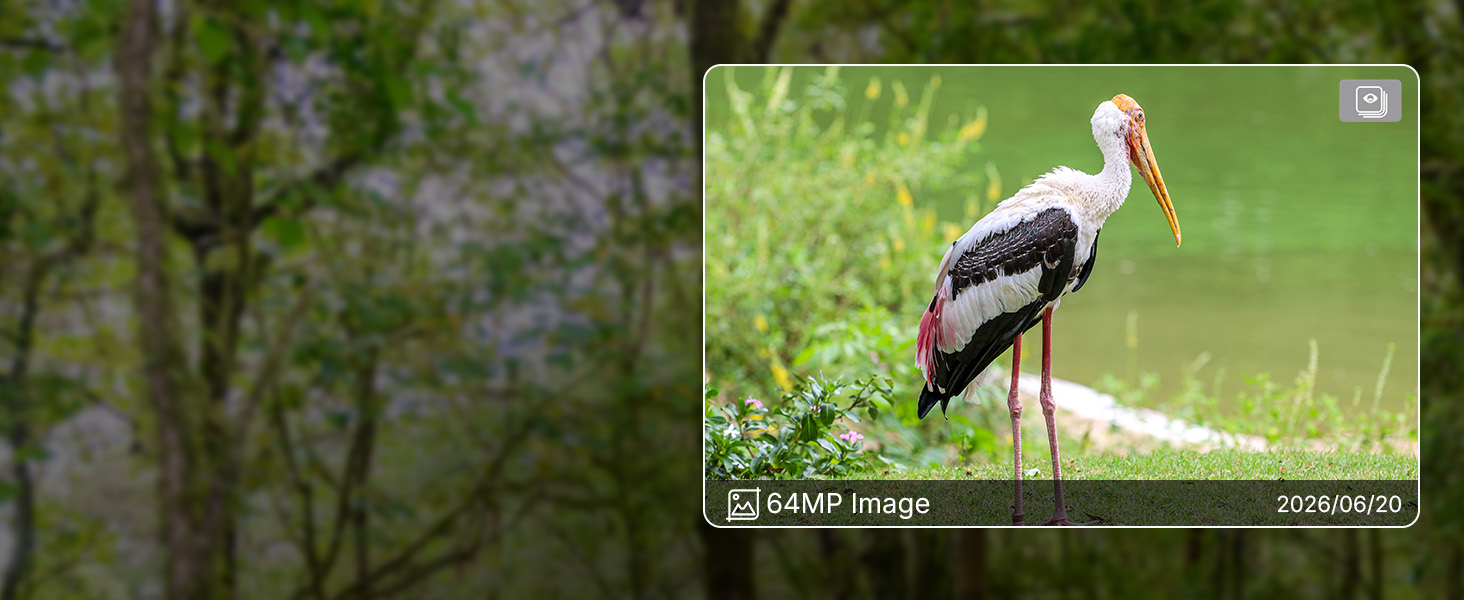 Wildkamera GardePro E8 im Tarnmuster mit Antenne, daneben ein Smartphone mit dem Livebild der Kamera – Detail 8
