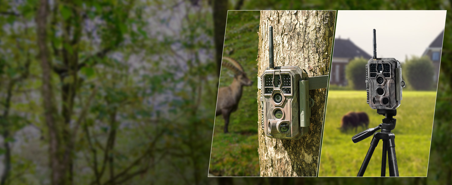 Wildkamera GardePro E8 im Tarnmuster mit Antenne, daneben ein Smartphone mit dem Livebild der Kamera – Detail 11