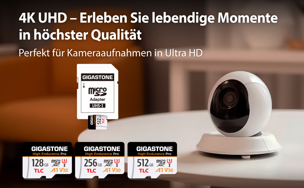 Gigastone High Endurance Pro microSDXC 256 GB mit SD-Adapter – Detail 3