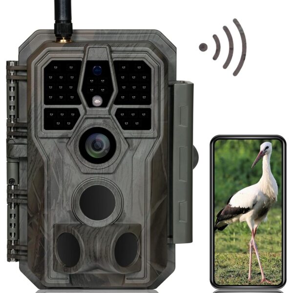 Wildkamera GardePro E8 im Tarnmuster mit Antenne, daneben ein Smartphone mit dem Livebild der Kamera