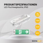 Weisse LED-Fluchtwegleuchte aus Polykarbonat mit grünem Rettungszeichen und weissem Richtungspfeil für die Wandmontage