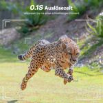 Wildkamera DEATTI DET-T4 im Tarnmuster mit Objektiv, Bewegungssensor und Infrarot-LEDs, daneben acht AA-Batterien