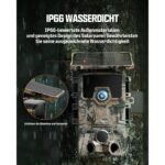 Wildkamera CEYOMUR CY75 im Tarnmuster mit Solarpanel auf dem Deckel, daneben USB-Kabel, Speicherkarte und Befestigungsgurt