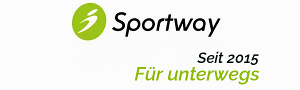 Sportway S70 Spiegelhalterung mit sechs Gelenken für Dashcam – Detail 1