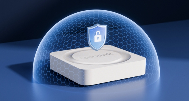 Reolink RLN4E PoE-NVR für Videoüberwachung mit 24/7-Aufzeichnung – Detail 10