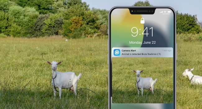 Reolink TrackMix LTE-C 4G-Kamera mit Solarpanel – Detail 9