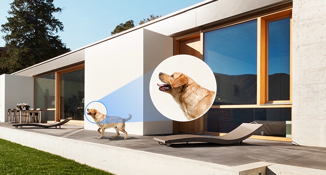 Reolink E1 Outdoor PTZ-Überwachungskamera Aussen mit 3-fach optischem Zoom – Detail 1