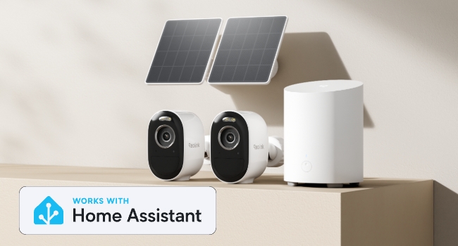 Reolink Home Hub Mini mit zwei Argus 3 Pro Solar-Überwachungskameras – Detail 18
