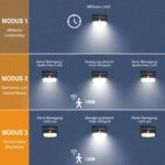 Peasur Solarlampe mit Bewegungsmelder Kaltweiss