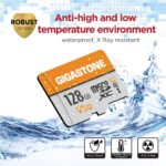 Gigastone 128GB microSDXC 2er-Pack