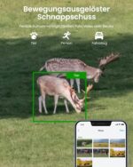Reolink TrackMix LTE-C 4G-Kamera mit Solarpanel
